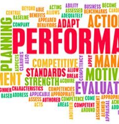 Annual Performance Appraisal